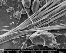 Image prise par un MEB du tremolite dans les crépis - Résolution HD élevée : 3872 x 2904 px / taille du fichier env. 10,7 Mo | © CRB Analyse Service GmbH
