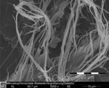 Chrysotile dans les colles bitumineuses noires brunâtres - Résolution HD moyenne : 3232 x 2420 px / taille du fichier env. 7,5 Mo | © CRB Analyse Service GmbH