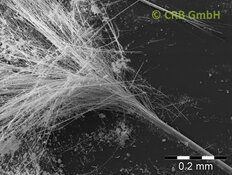 Faisceau de fibres éclaté d’amiante d’amphibole, amosite | © CRB Analyse Service GmbH