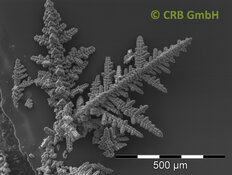 Dendrites d’oxydes de fer et de manganèse | © CRB Analyse Service GmbH